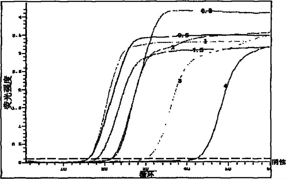 Fluorescent quantitative loop-mediated isothermal amplification (LAMP) detection method for bovine tuberculosis pathogene