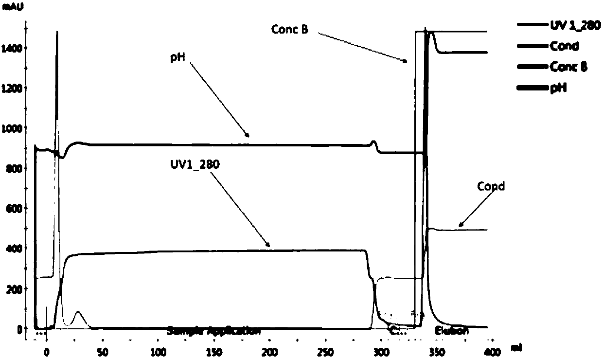 Purification process for obtaining high-purity adeno-associated virus vector