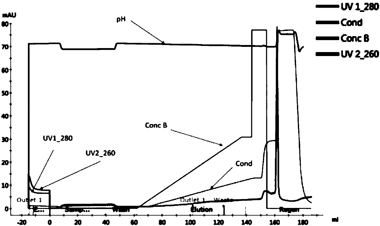 Purification process for obtaining high-purity adeno-associated virus vector