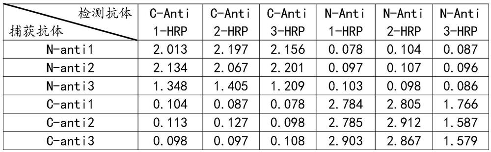 Preparation method of novel coronavirus nucleocapsid protein monoclonal antibody