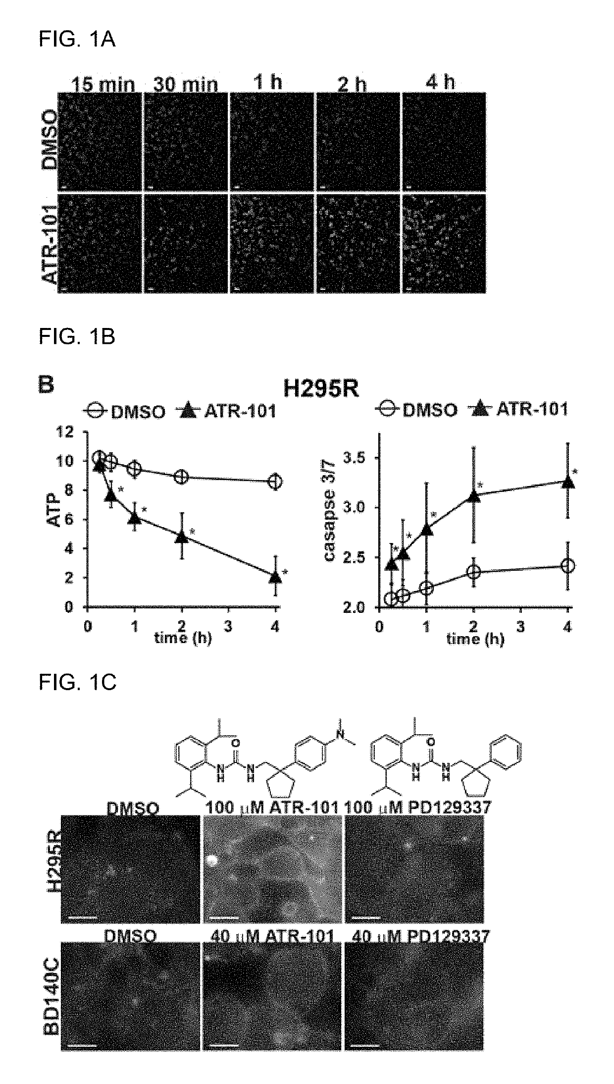 Compositions and methods for treating conditions related to adrenocortical activity and/or excessive steroid production
