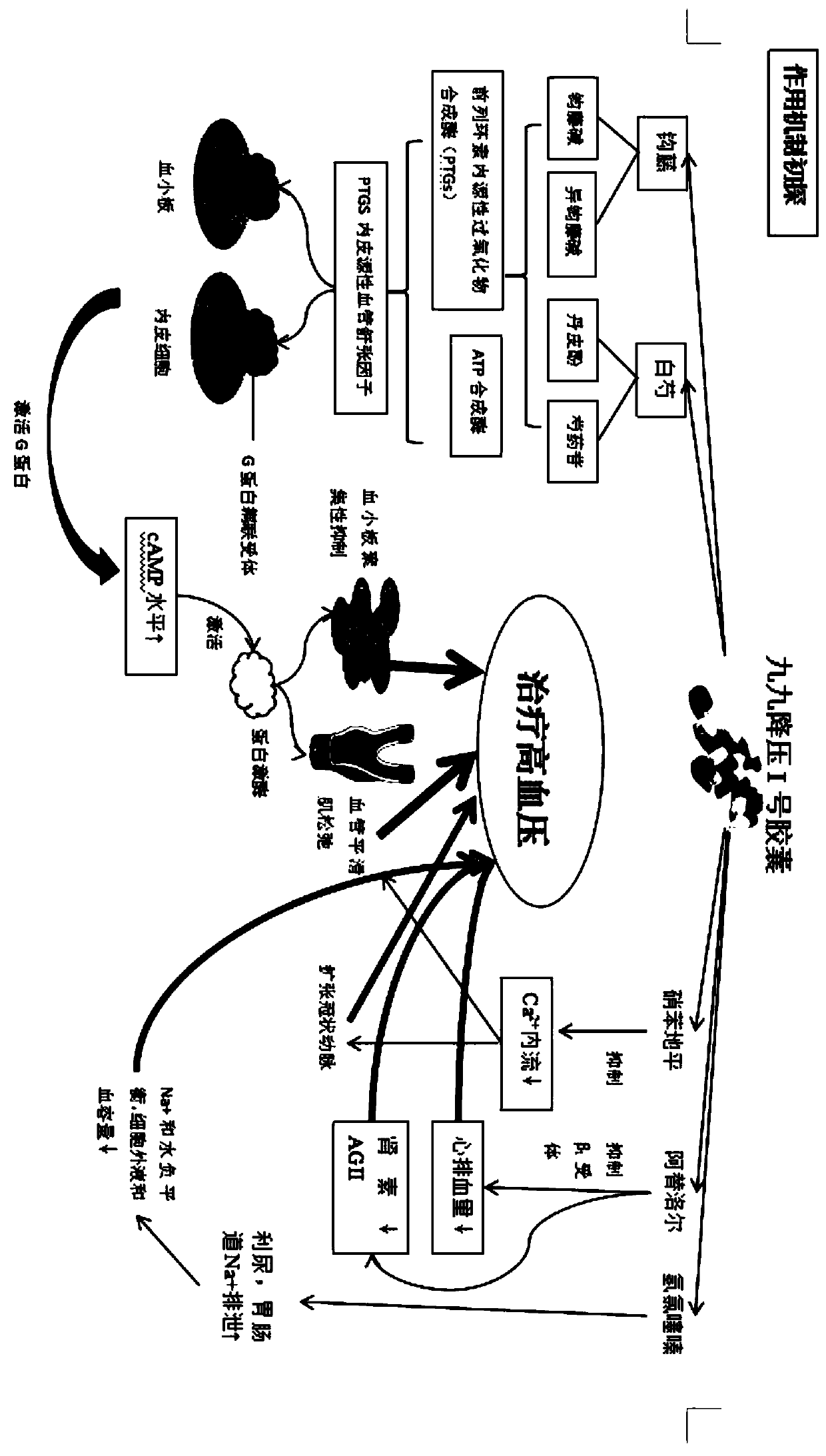 Antihypertensive capsule and preparation method