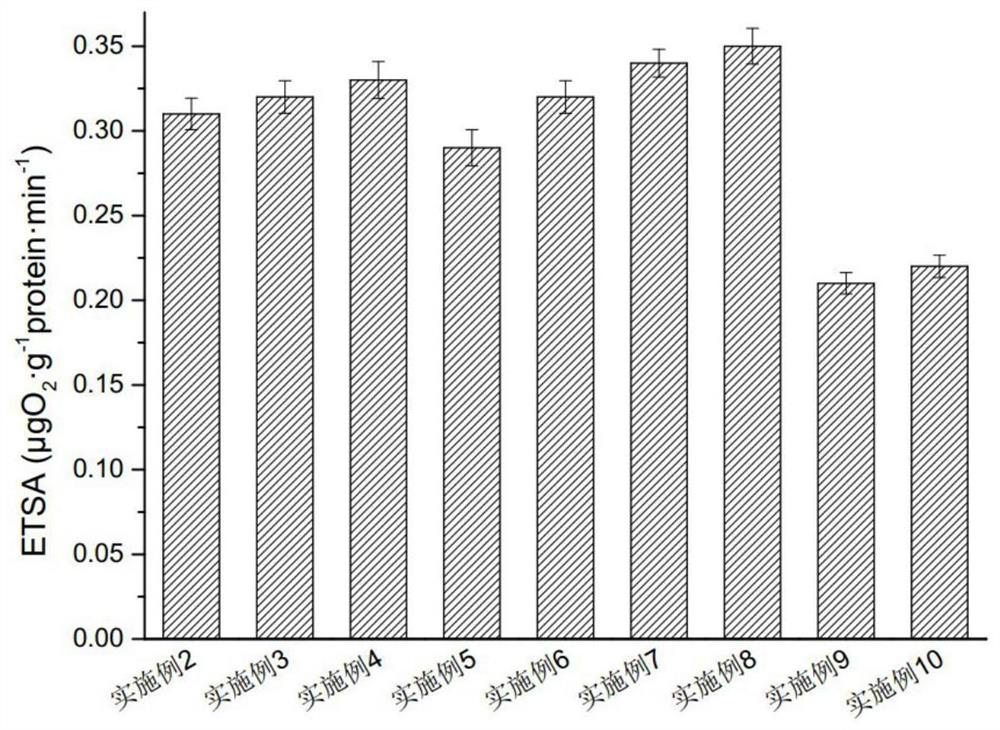 Composite microbial preparation and its application in sewage treatment