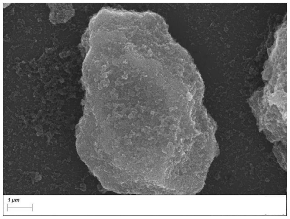 Method for preparing titanium carbonitride from titanium carbonitride powder and hydrolyzable titanium source