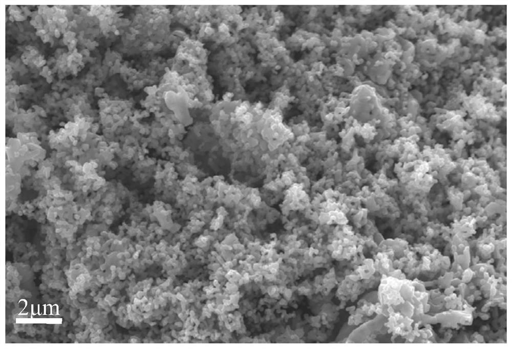 Method for preparing titanium carbonitride from titanium carbonitride powder and hydrolyzable titanium source