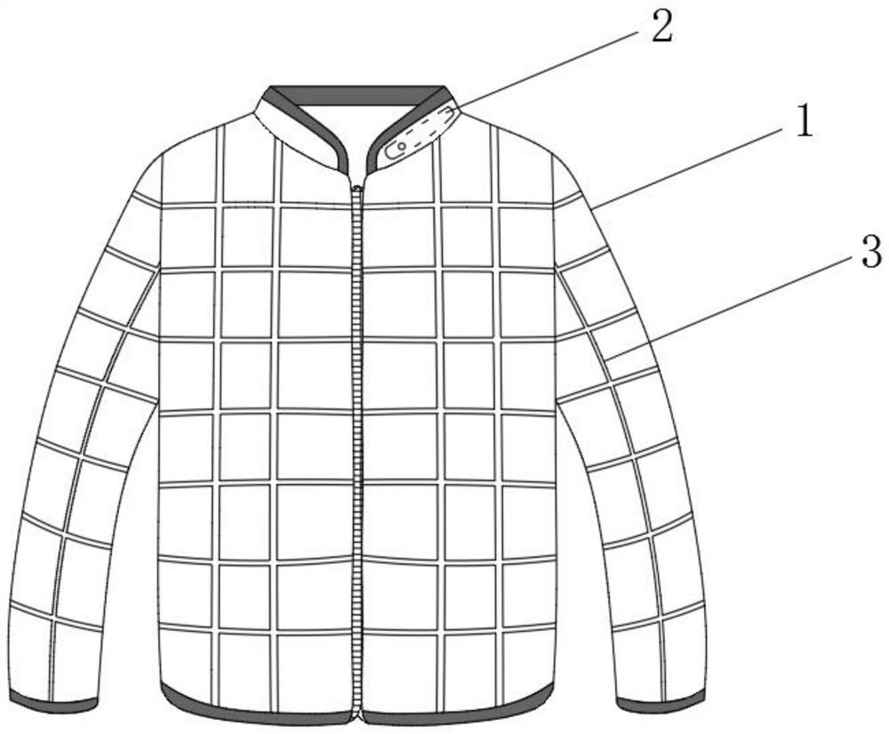 Color-changeable down jacket with temperature sensing function