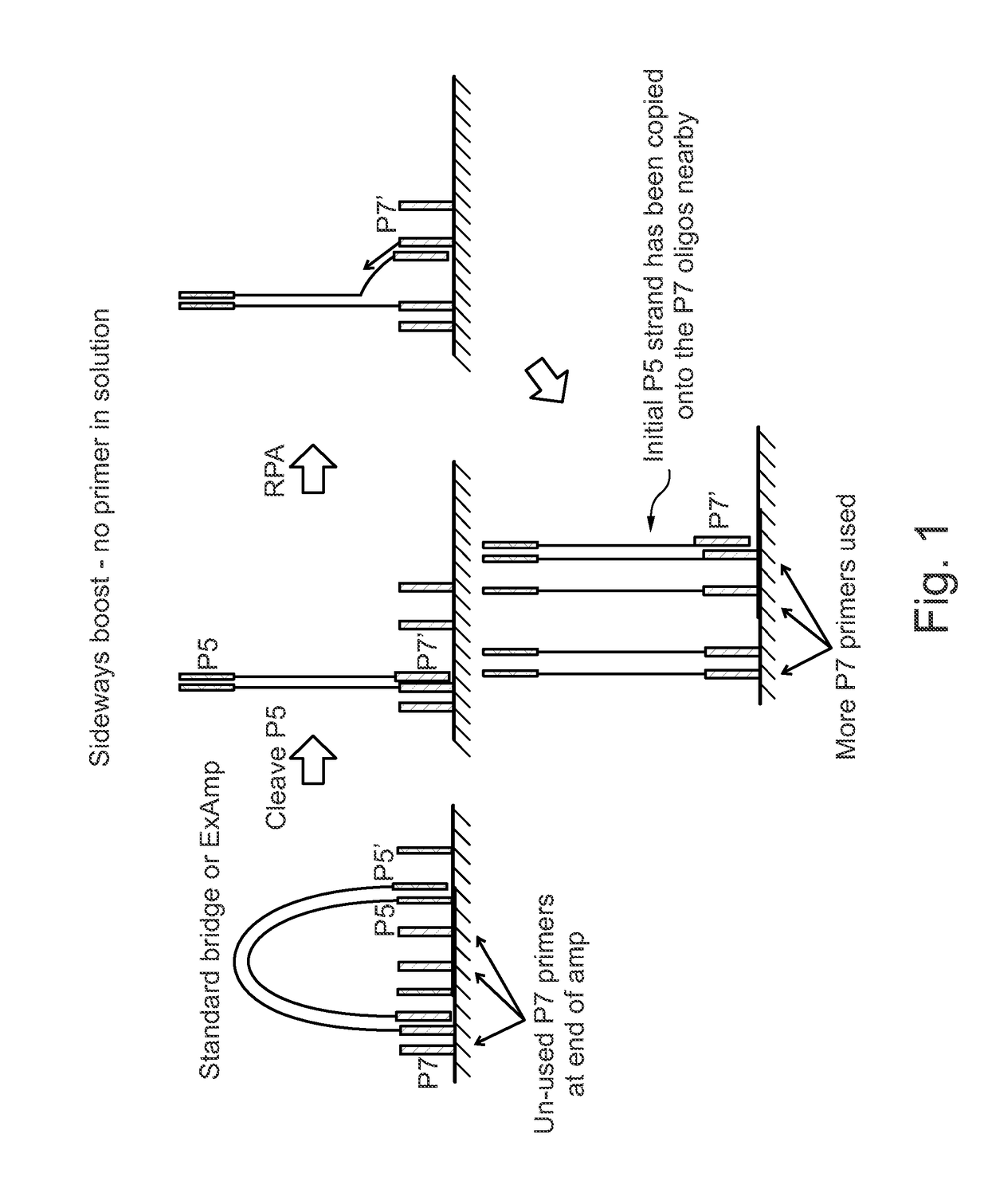 Enhanced utilization of surface primers in clusters