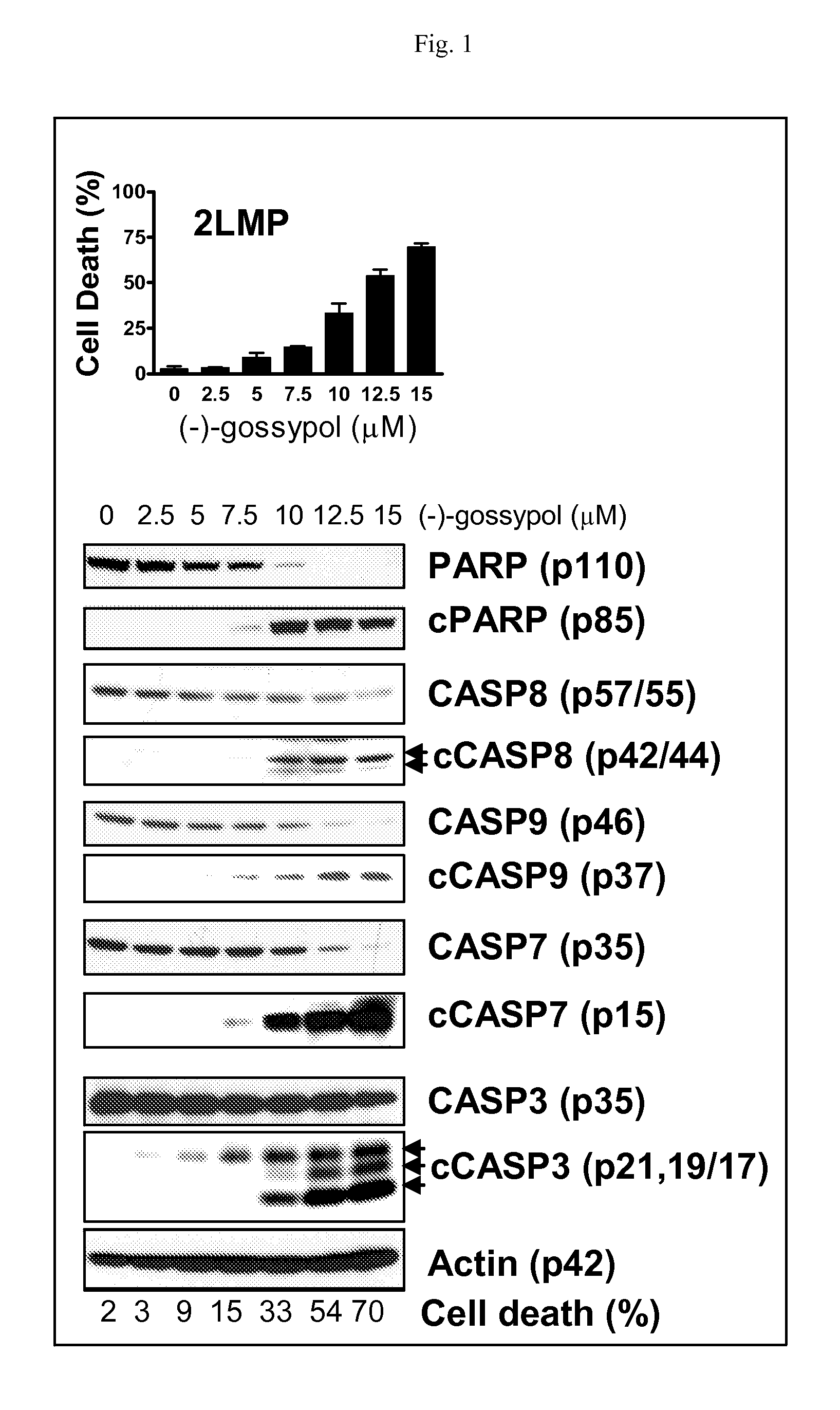 Biomarkers for gossypol chemotherapy and methods of treating disease