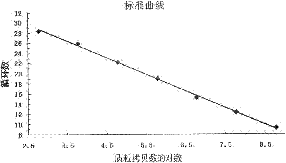 Primer, probe and method for qualitatively and quantitatively detecting witches' broom phytoplasma