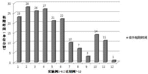 Sustained-release oral ulcer film having biological adhesion and preparation method of sustained-release oral ulcer film