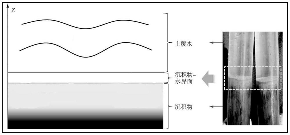 Method for dividing sediment-water interface in water ecosystem
