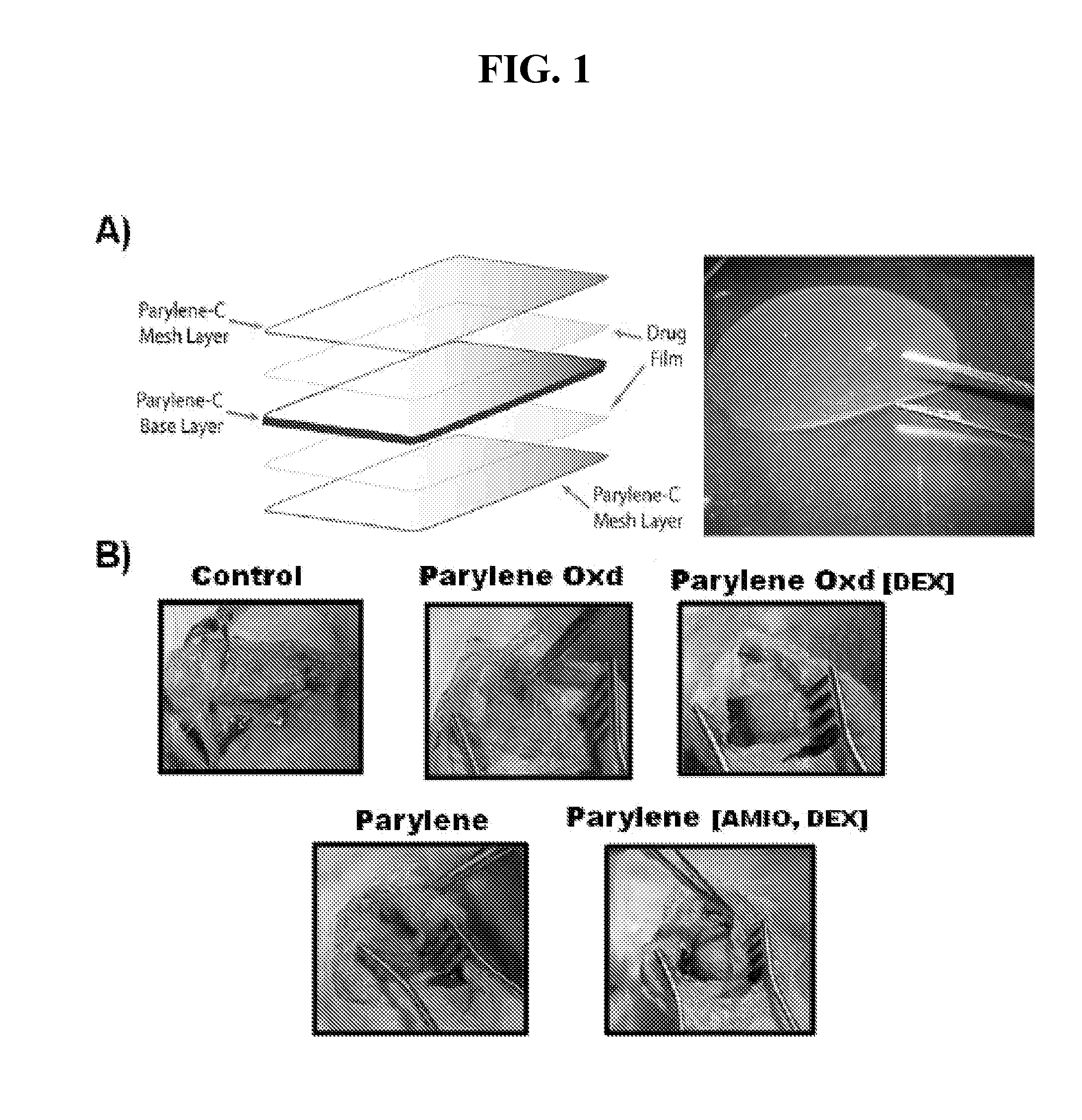 Para-xylene films and therapeutic uses thereof