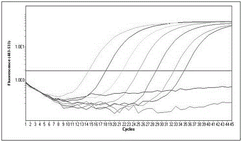 Dual real-time fluorescence quantitative PCR (polymerase chain reaction) detection system and method for Rickettsia mooseri and Orientia tsutsugamushi