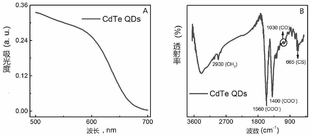 HIV p24 high-sensitivity detection method based on quantum dot selective cation exchange reaction