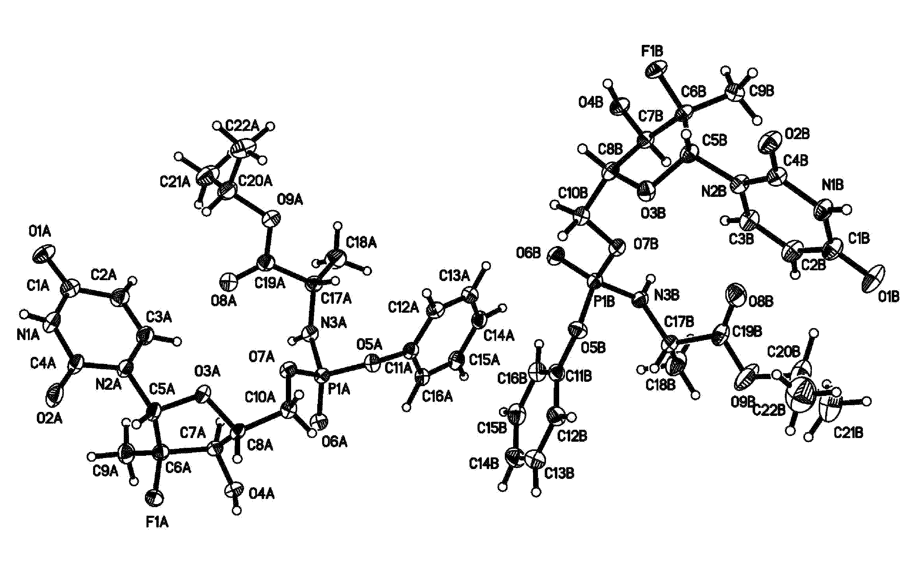 Nucleoside phosphoramidates