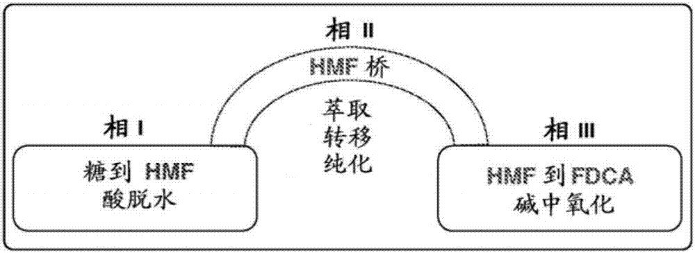 Triphasic system for direct conversion of sugars to furandicarboxylic acid