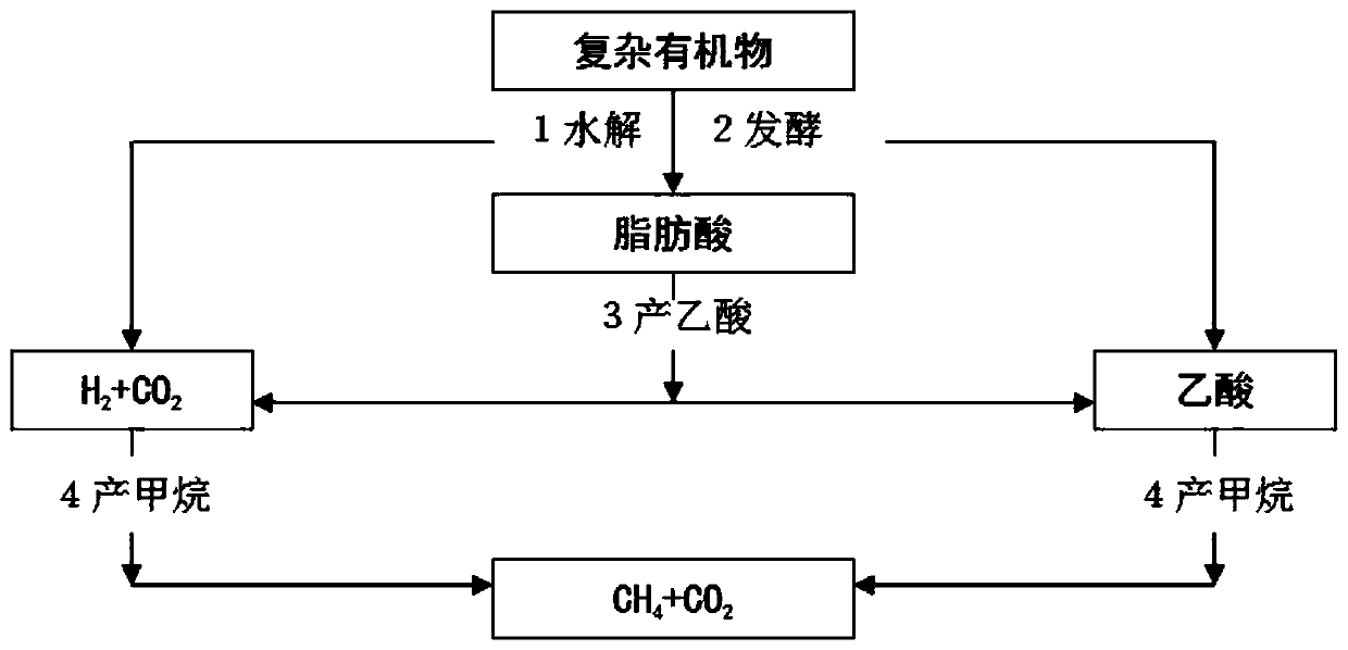 Micro-electrolysis sewage treatment device