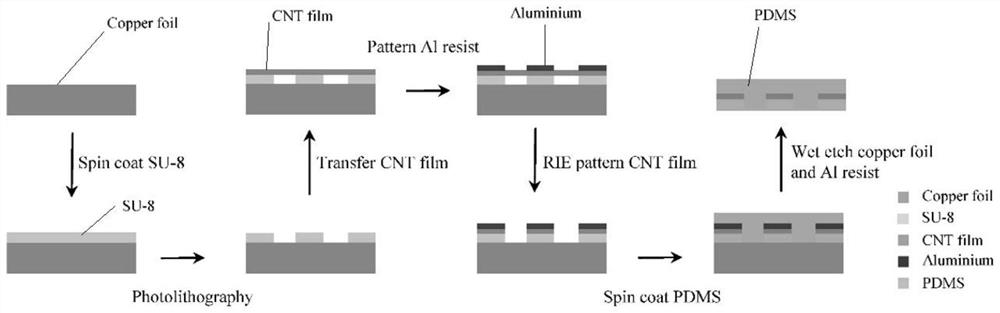 Application of Flexible Transparent Carbon Nanotube Neural Electrode Arrays in Neural Optoelectronic Interfaces