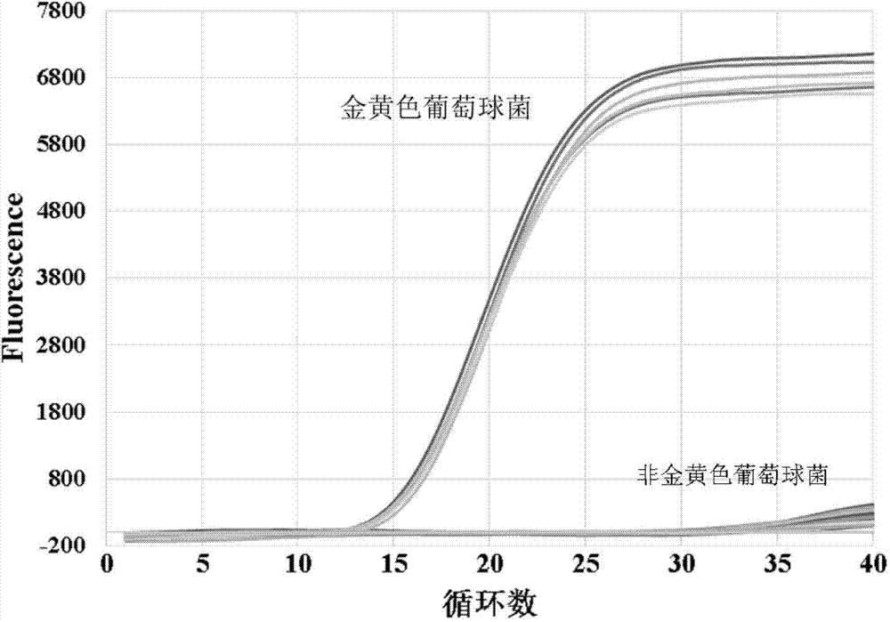 Method for detecting staphylococcus aureus and enterotoxin A gene in food