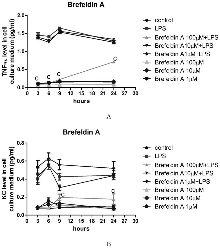 Application of a kind of brefeldin a in the preparation of inflammatory factor activity inhibitor medicine
