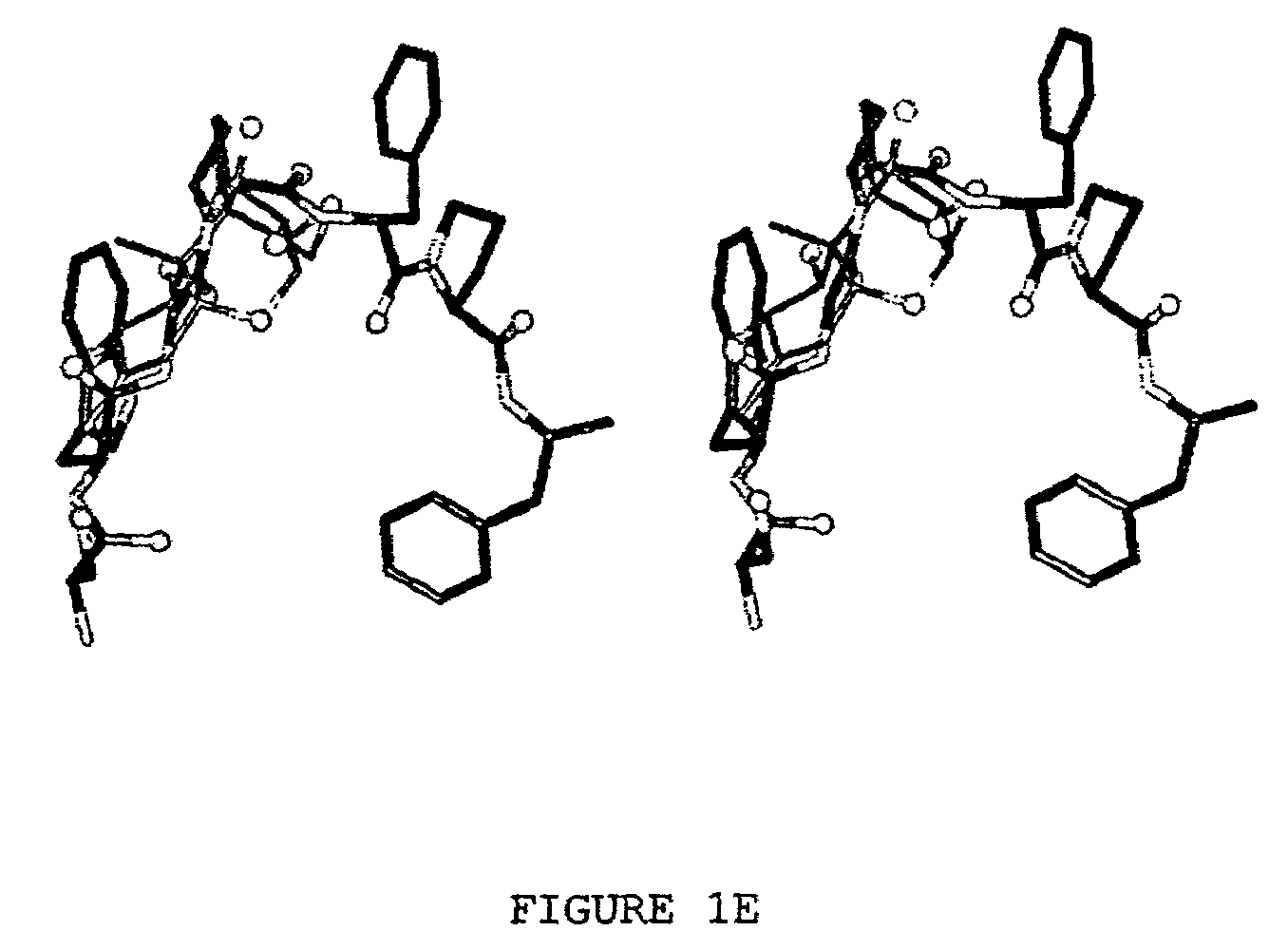 Plant cells encoding a peptide mimotope to mycotoxin deoxynivalenol and uses thereof