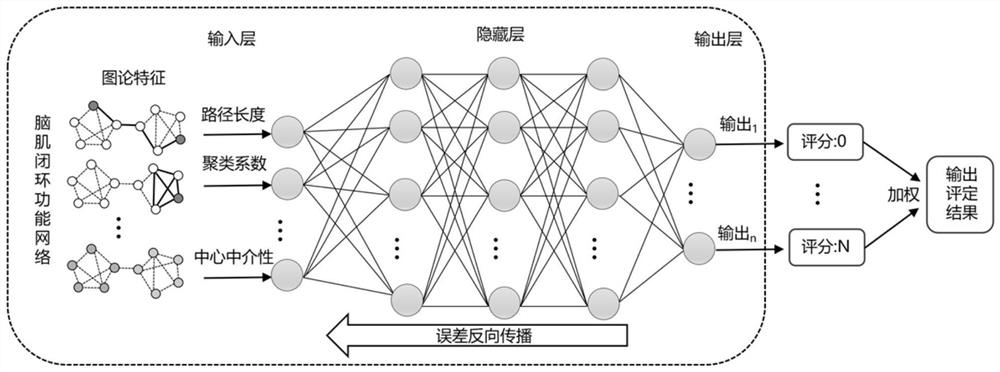 Post-stroke rehabilitation evaluation deep learning model construction method based on brain muscle network graph theory characteristics
