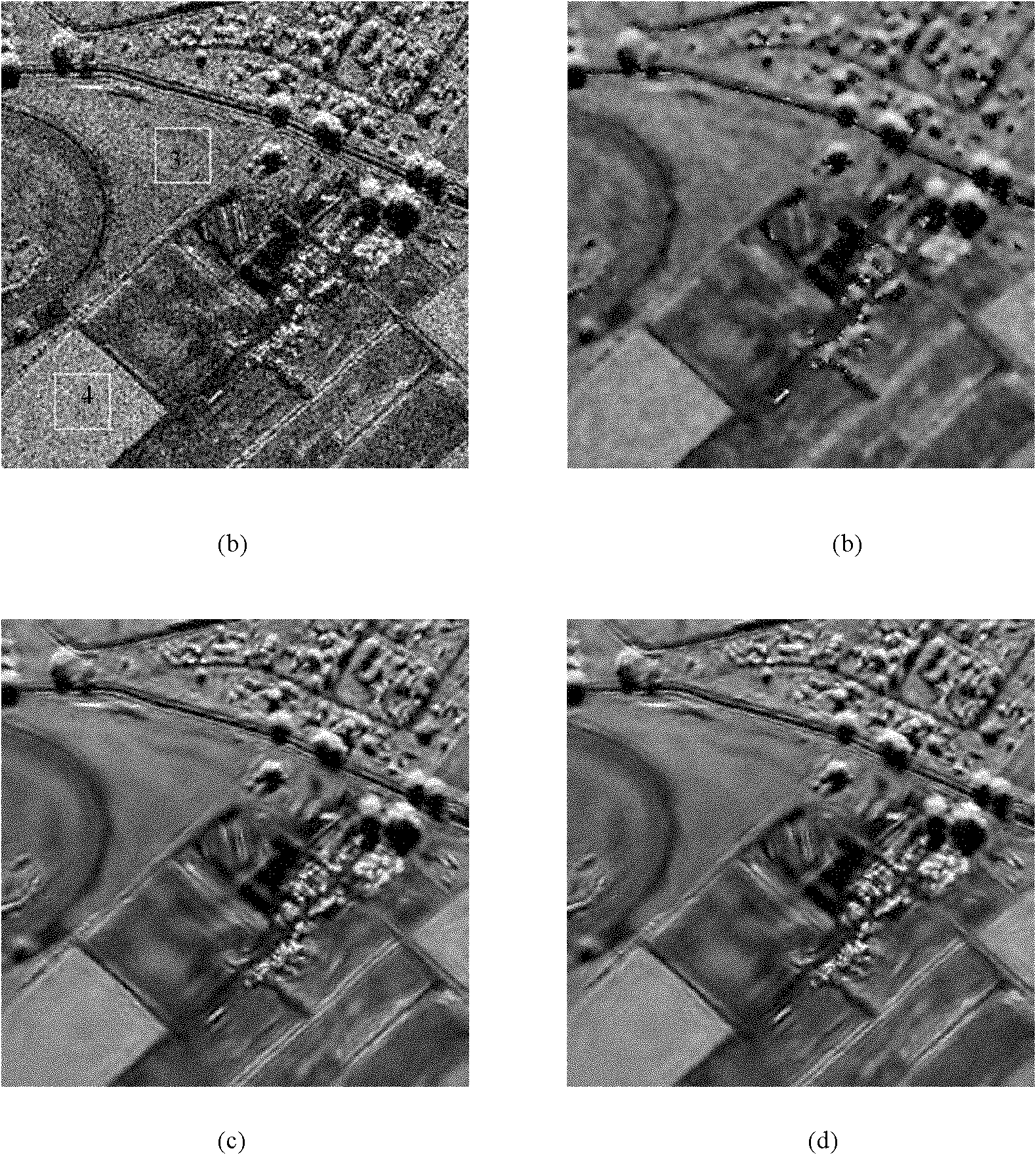 Method for reducing speckles of synthetic aperture radar (SAR) image by combining dual-tree complex wavelet transform with bivariate model