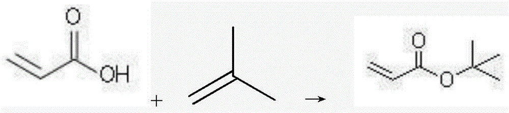 A kind of technique of catalytically synthesizing tert-butyl acrylate