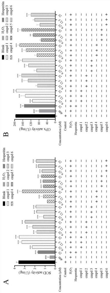 Eucommia ulmoides leaf lignan compound, preparation method and application of eucommia ulmoides leaf lignan compound in neuroprotection