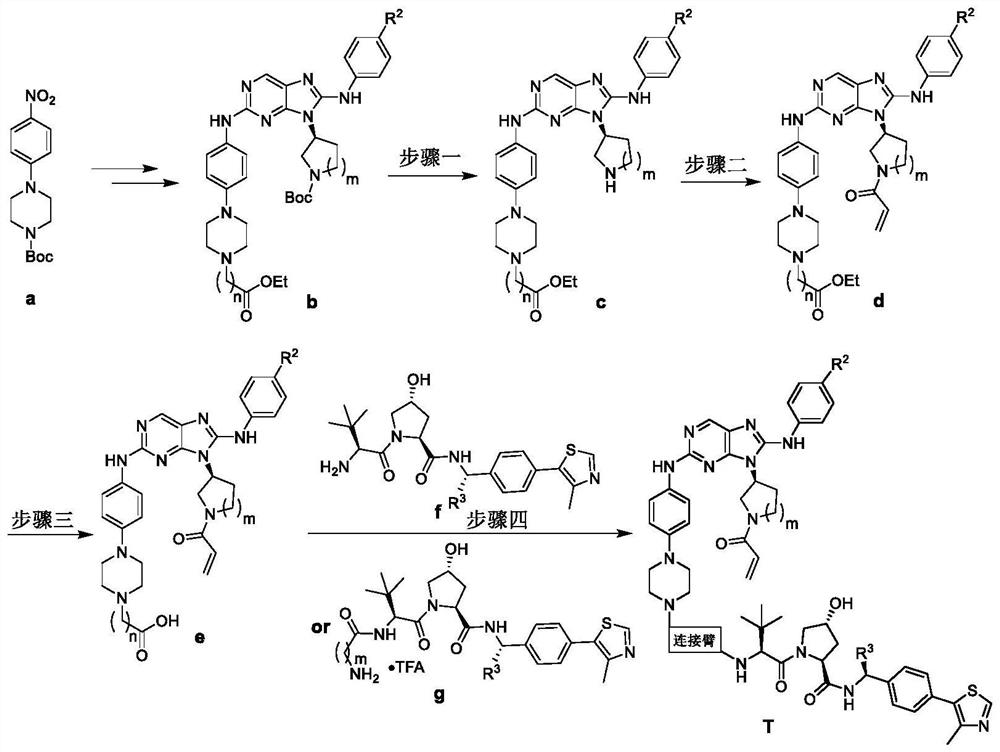 EGFR degradation agent containing 2, 8, 9-trisubstituted-9H-purine structure fragment and salt and application of EGFR degradation agent