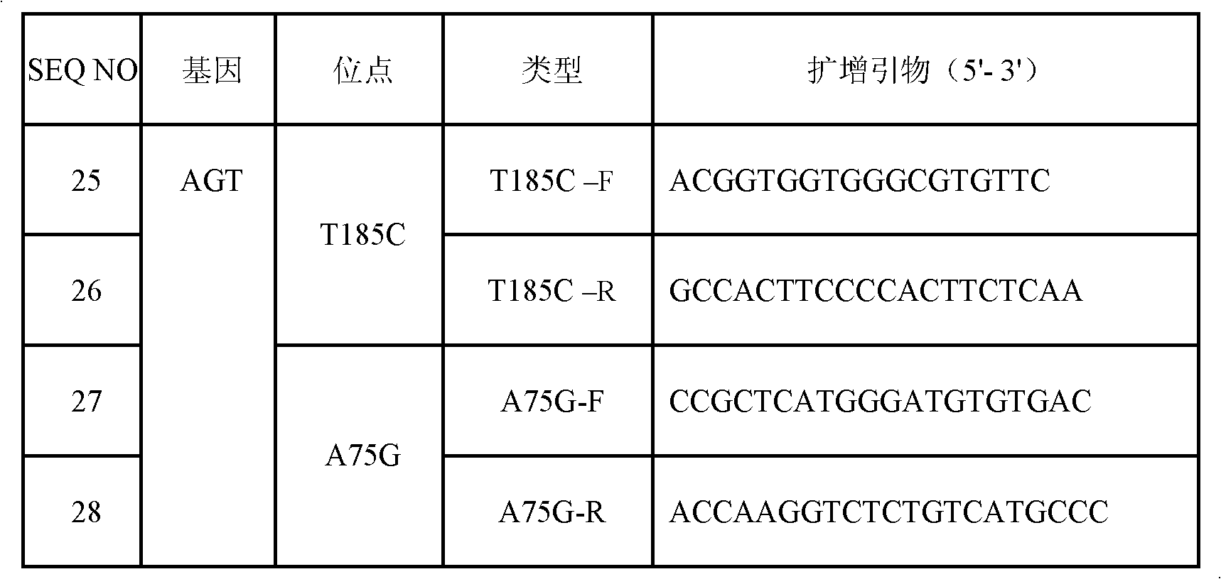 Specific primes and liquid phase chip for AGT (angiotensinogen) and ACE (angiotensin-converting enzyme) gene polymorphism detection