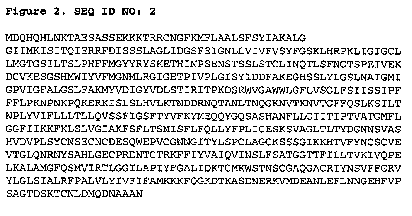 Novel human genes and gene expression products: II