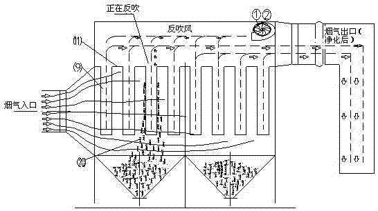 A filter bag dust collector with self-circulation dust removal device