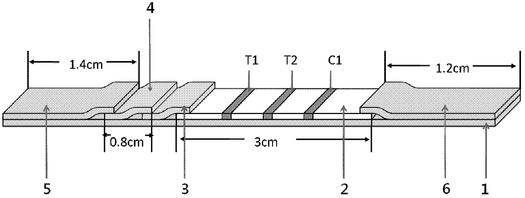 Immunochromatographic test strip for semi-quantitatively and simultaneously detecting cTnI and Myo and preparation method thereof