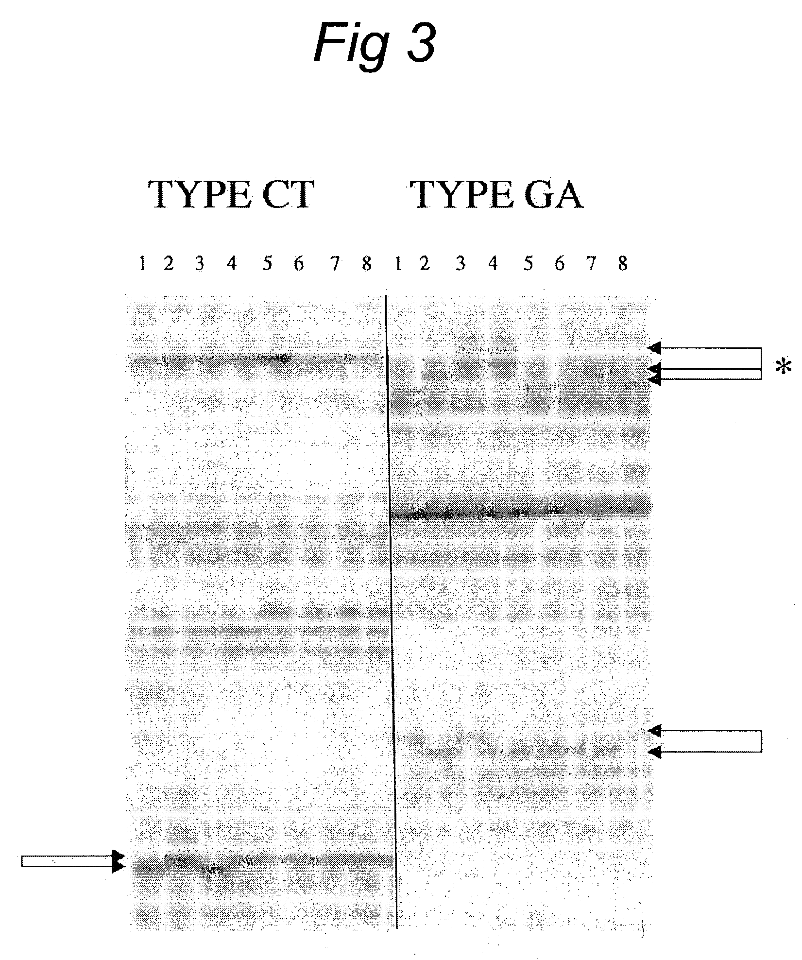 Methods and kits comprising AFLP primers, and ramp primers with a part complementary to a compound microsatellite repeat and an anchor part complementary to nucleotides adjacent to the repeat