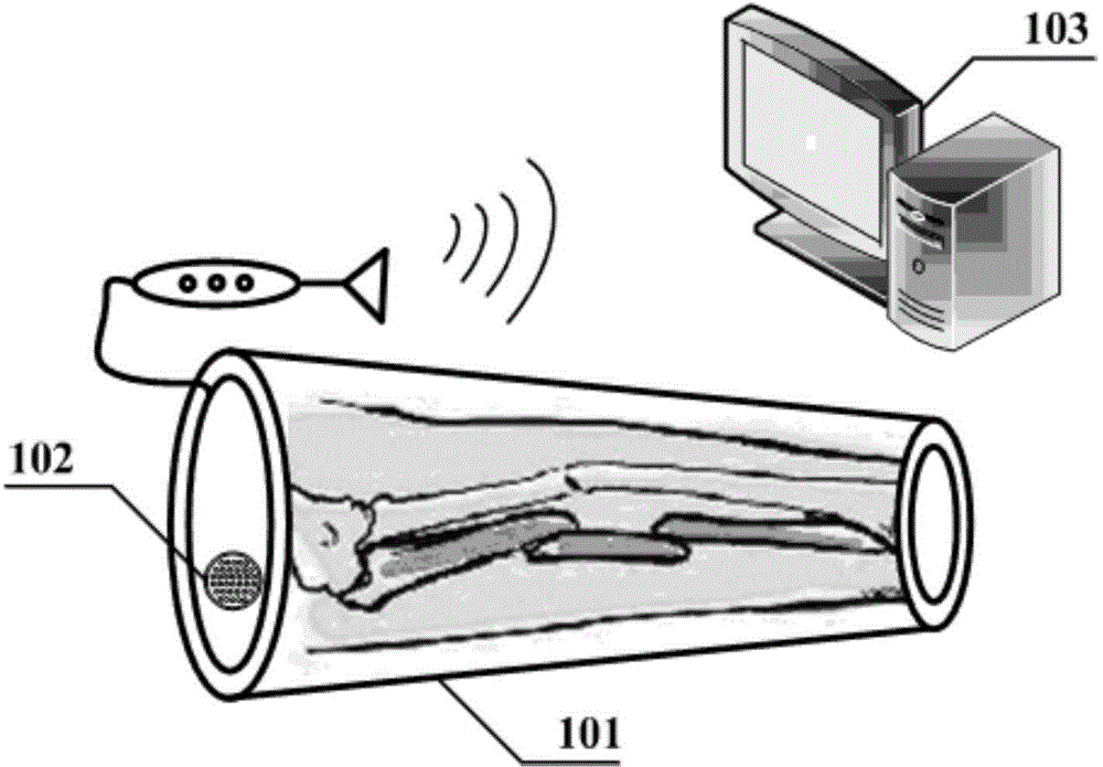 Non-invasive bone tissue detection method and device based on dynamic magnetic excitation ion spectrum