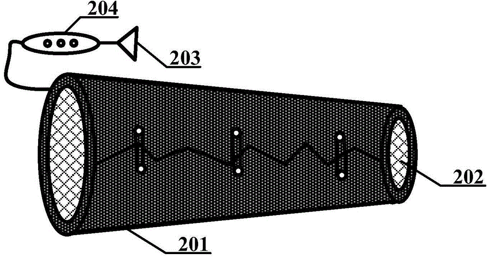 Non-invasive bone tissue detection method and device based on dynamic magnetic excitation ion spectrum