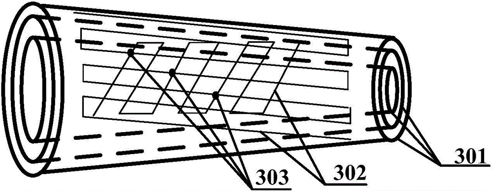 Non-invasive bone tissue detection method and device based on dynamic magnetic excitation ion spectrum