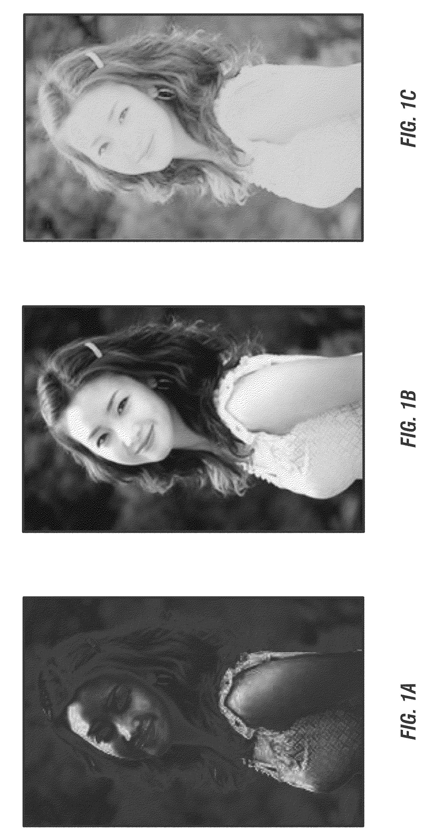 Angularly dependent display optimized for multiple viewing angles