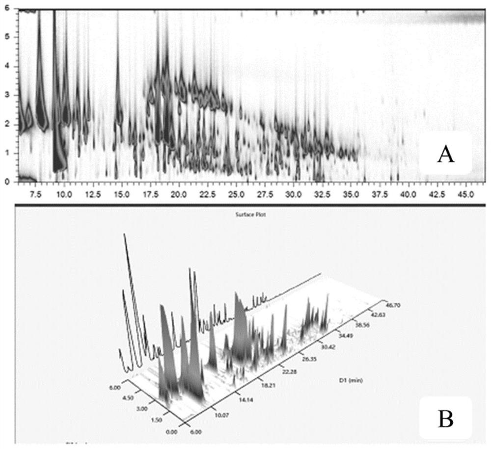 Analysis method of hyssopus officinalis volatile oil and application of hyssopus officinalis volatile oil in preparation of medicine for treating hormone-resistant asthma