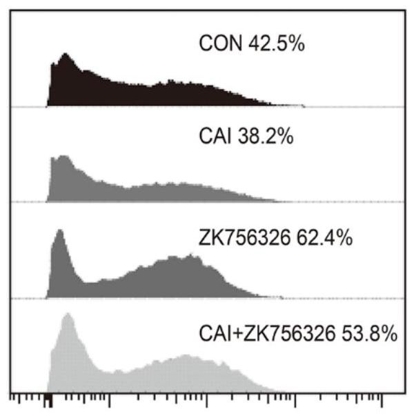 Combination of carboxyamidotriazole and ido1 inhibitor for anti-tumor purposes