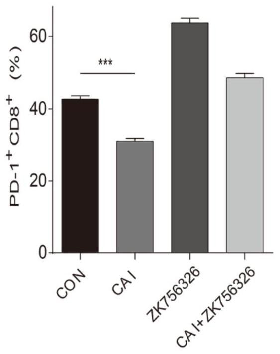 Combination of carboxyamidotriazole and ido1 inhibitor for anti-tumor purposes