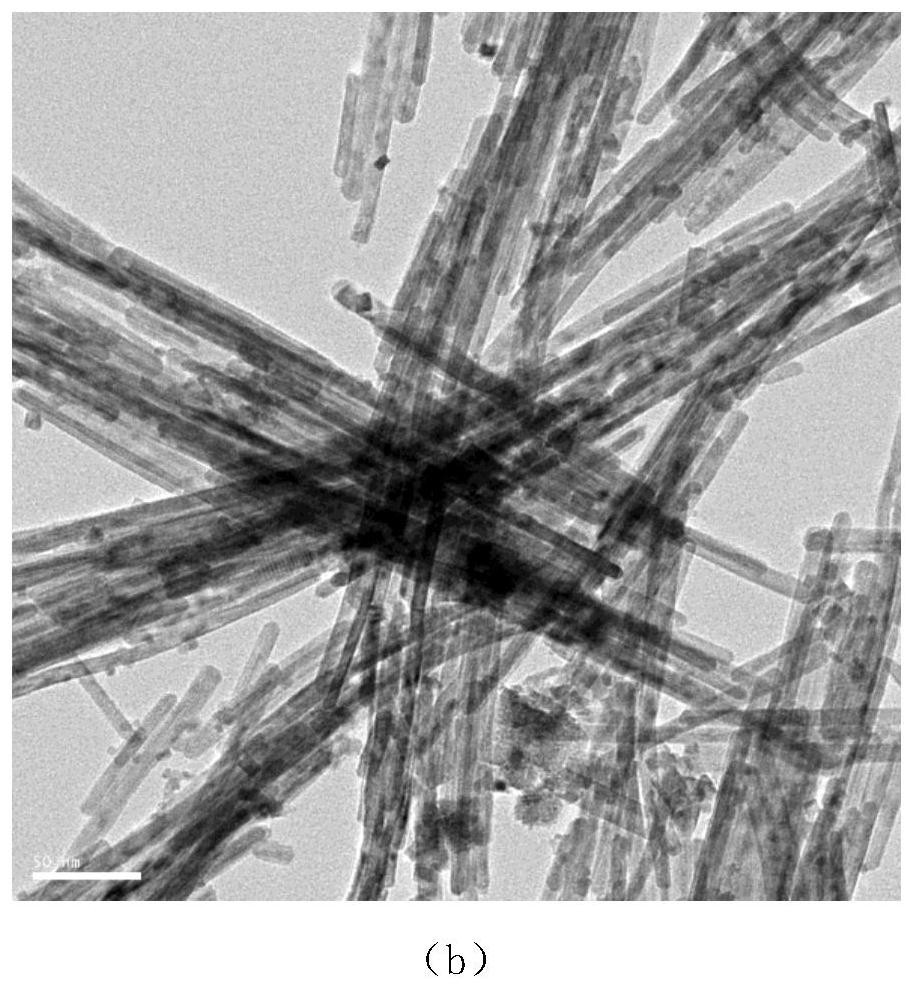 A control method of oxygen vacancy concentration in single crystal ceria