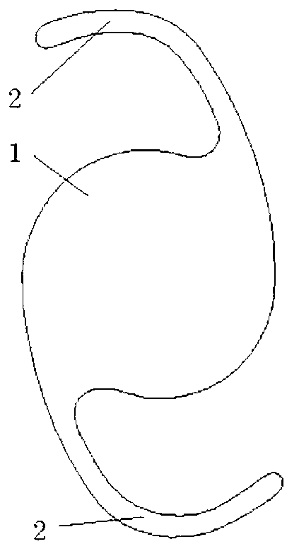 Artificial lens with differently modified front and rear ultraviolet irradiation surfaces, and preparation method thereof