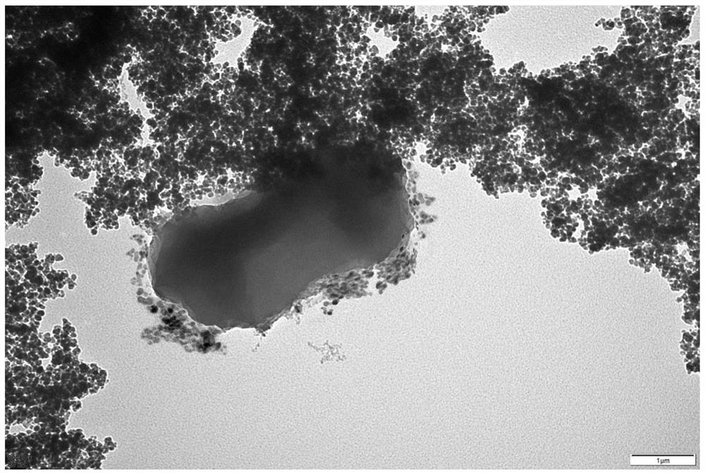 A kind of polymyxin b magnetic bead, preparation method and application thereof