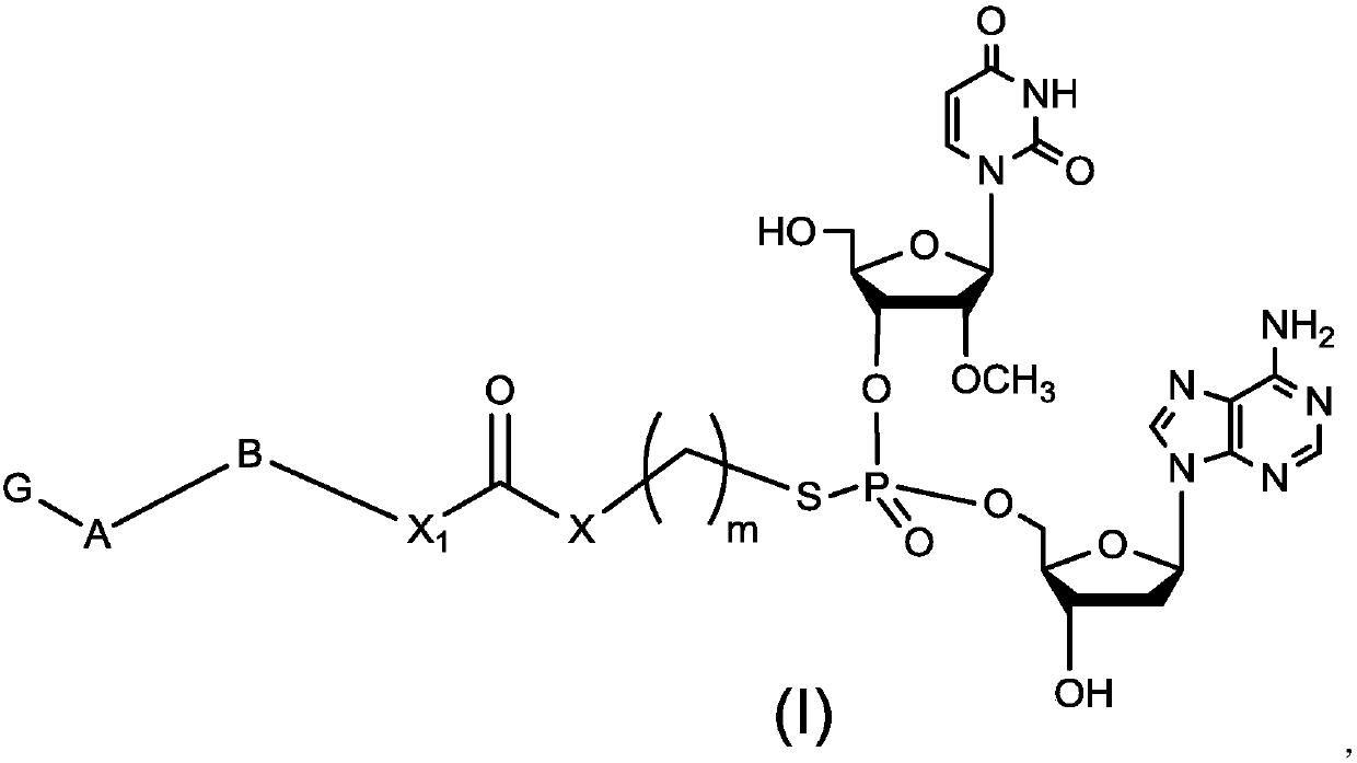 Preparation method of dinucleotide prodrug