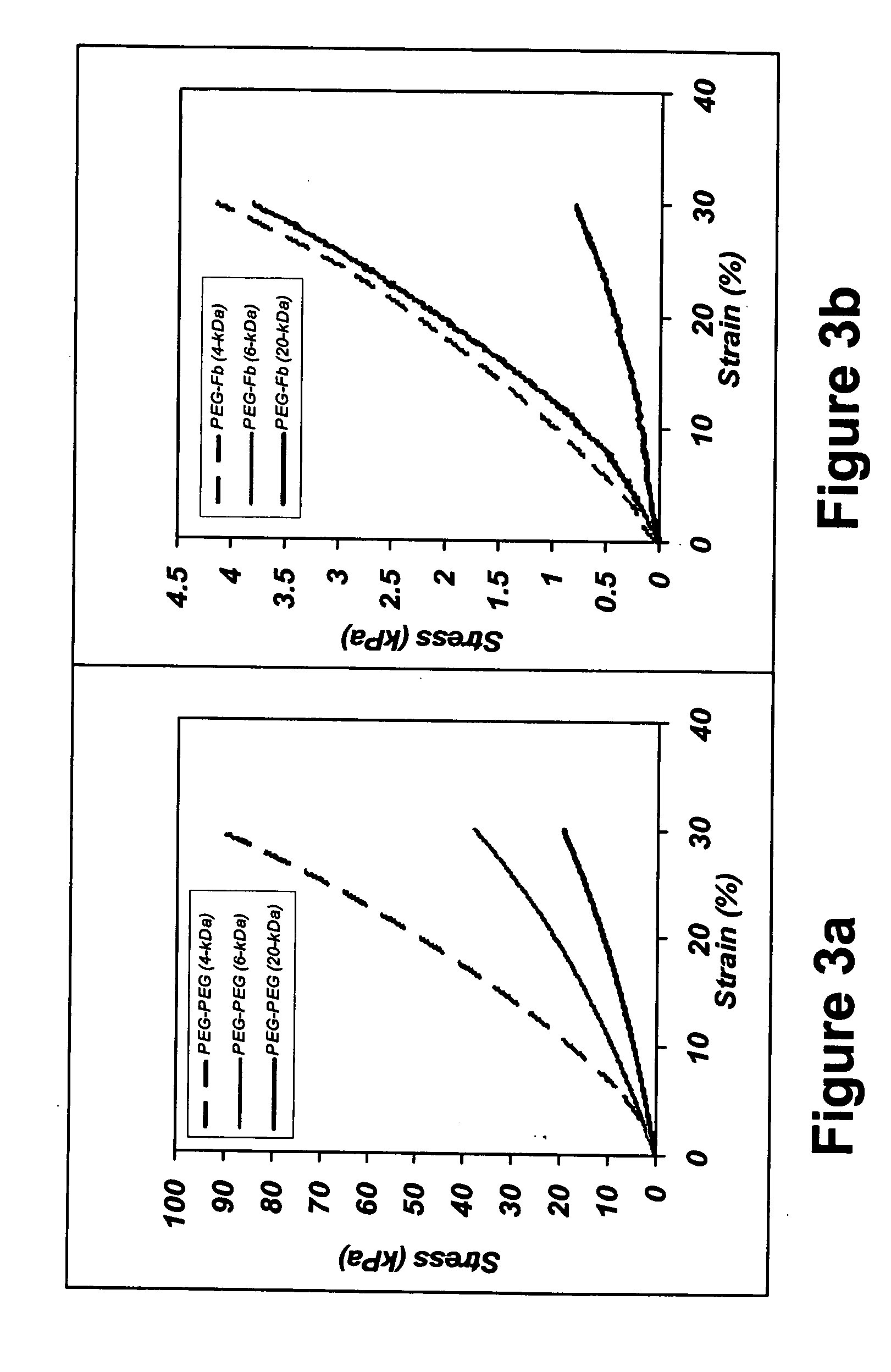 Matrix composed of a naturally-occurring protein backbone cross linked by a synthetic polymer and methods of generating and using same