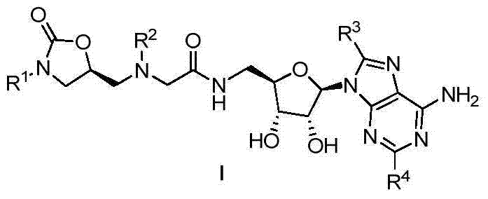 Oxazolidone-adenosine type multi-target antibacterial compounds and preparation method and application thereof