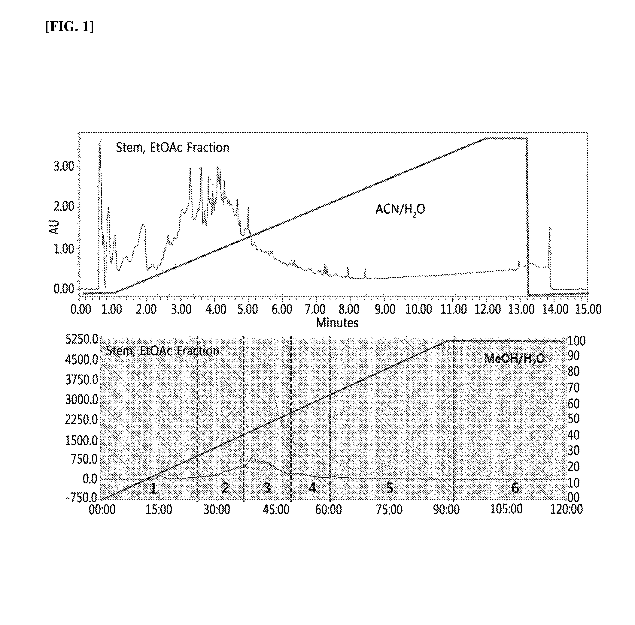 Pharmaceutical composition comprising pistacia weinmannifolia extract, fraction of same or compound separated from same for preventing or treating chronic obstructive pulmonary disease (COPD)