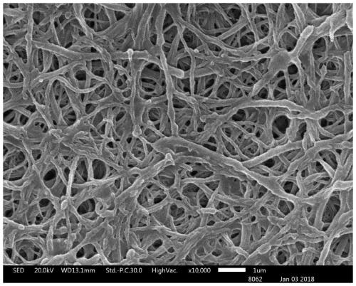 Composite nanofiber membrane and preparation method thereof